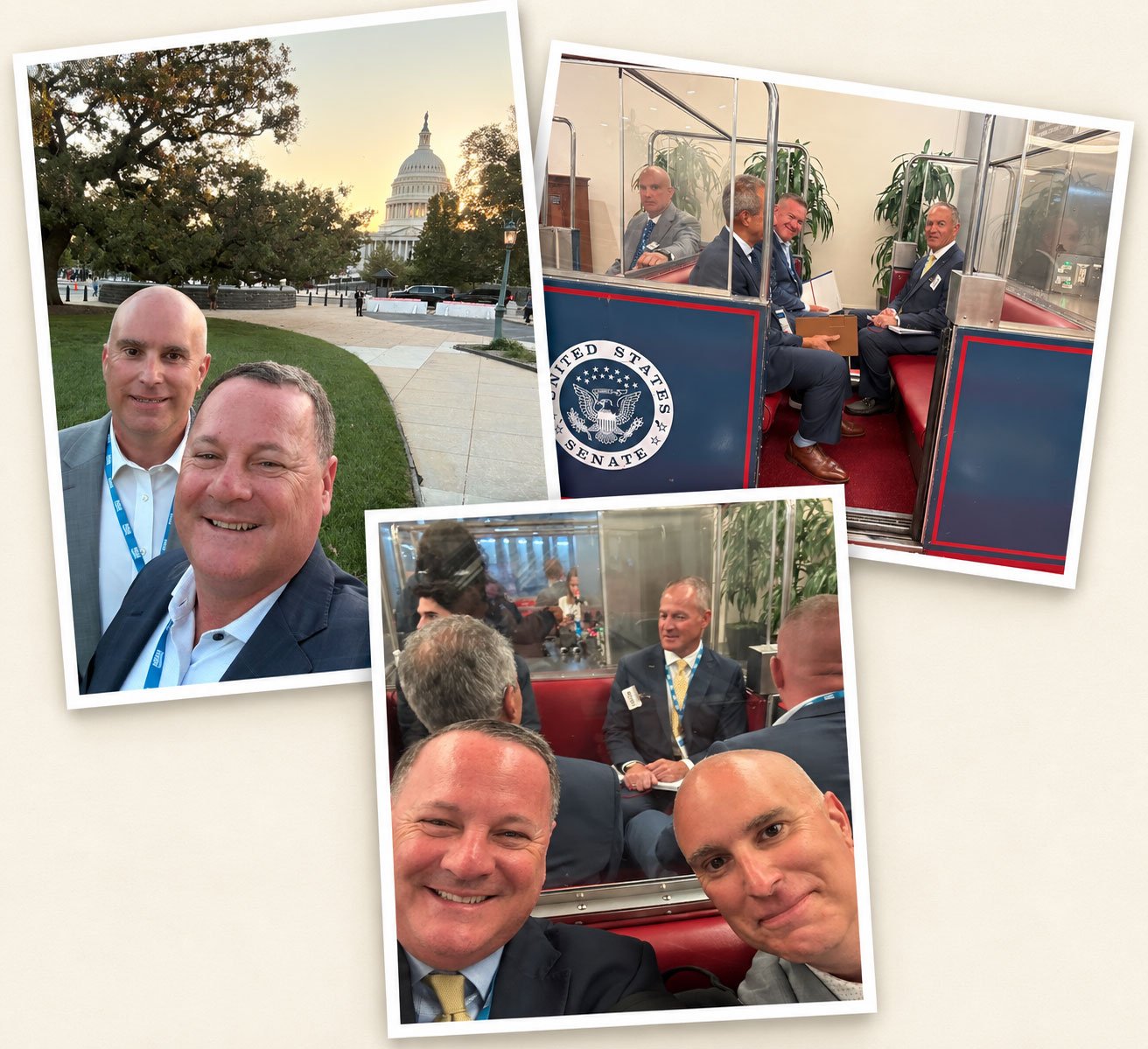 DC_Collage