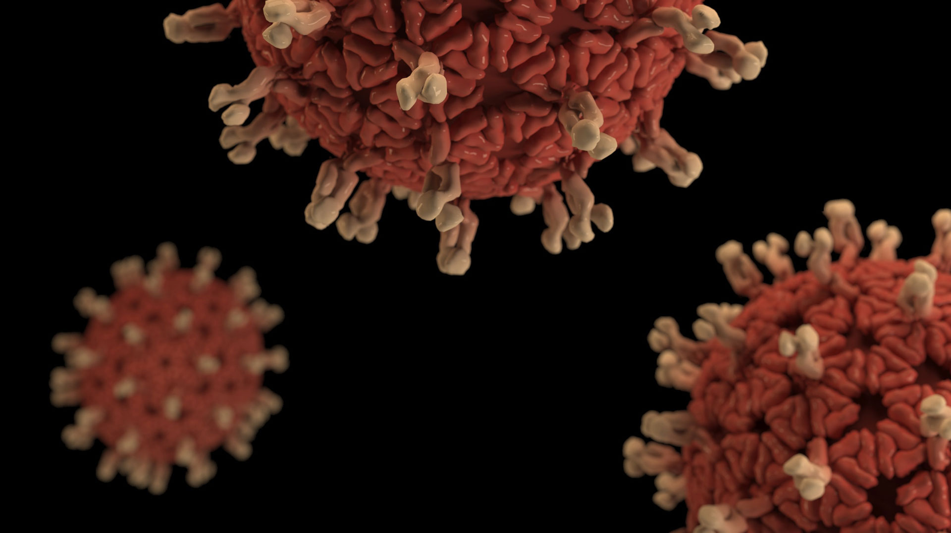 The Coronavirus: Business Resources and Where to Look