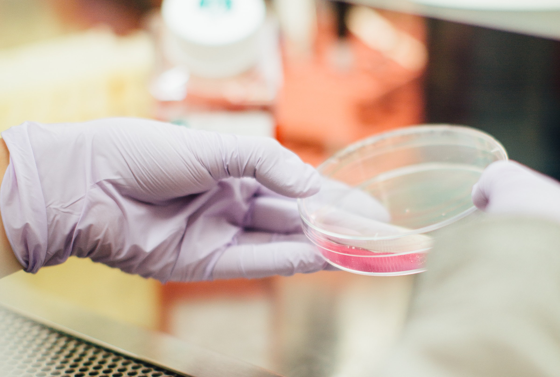 Best Practice: Wait for Drug Test Results Before Putting People to Work
